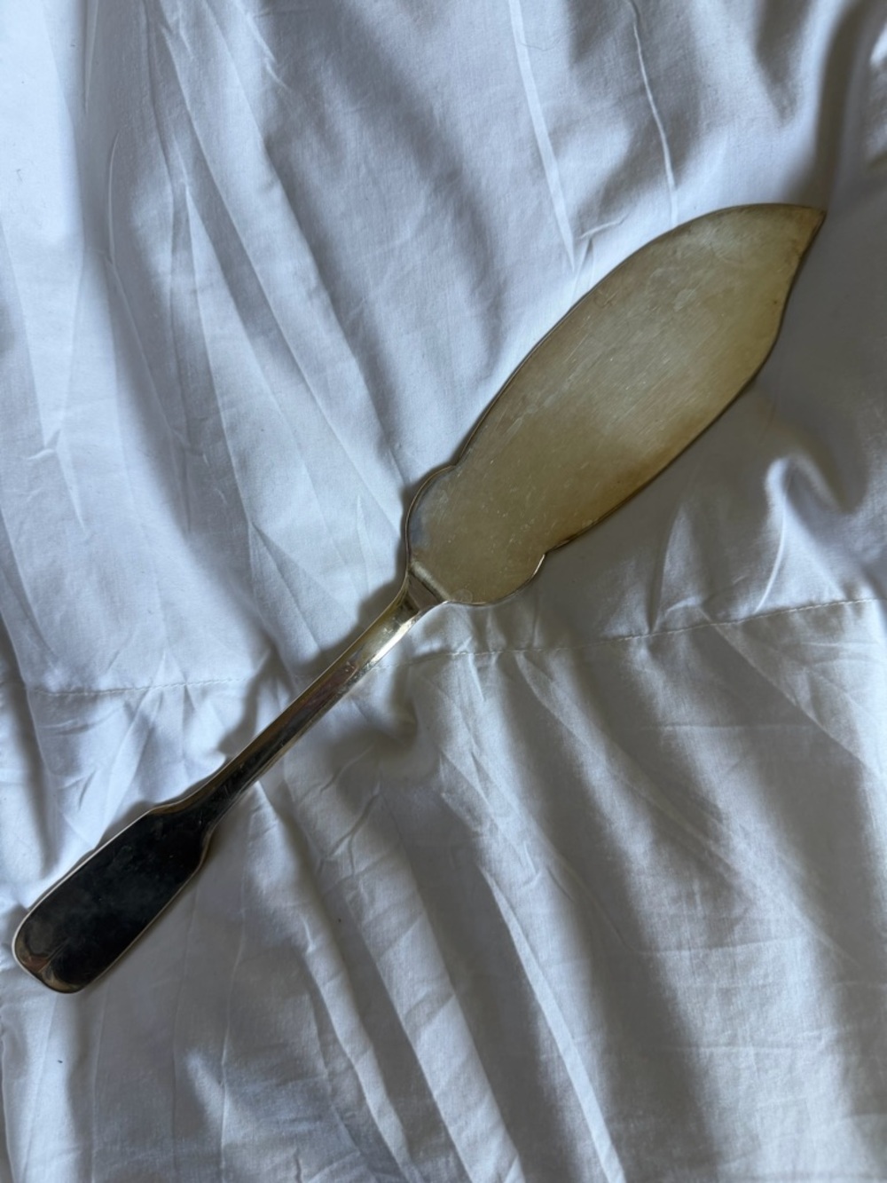 Vintage Heritage Silver Cake Server